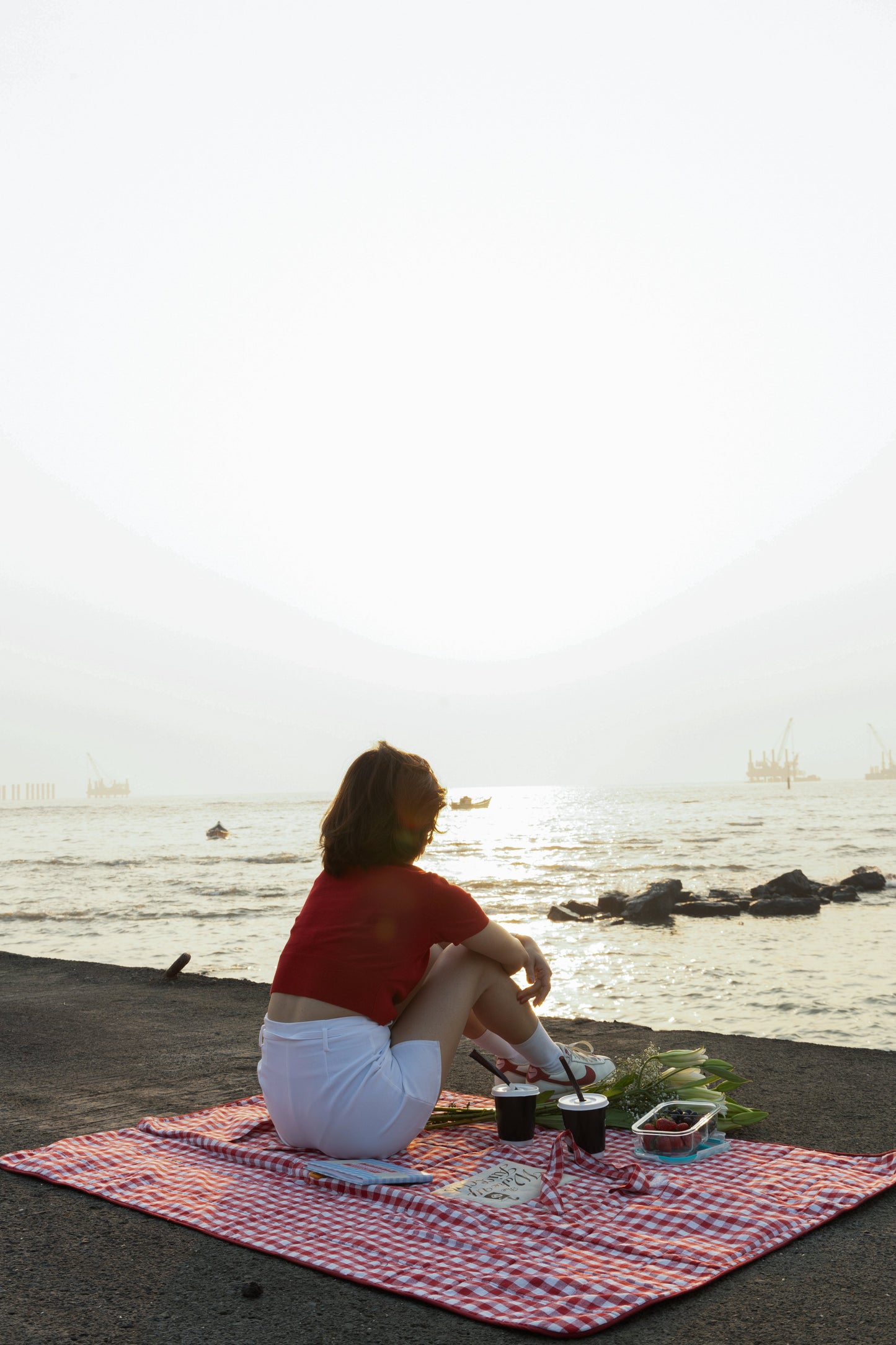 Picnic Blanket Tote